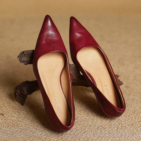 Pointed Toe Heels with Low Block Heel for Women