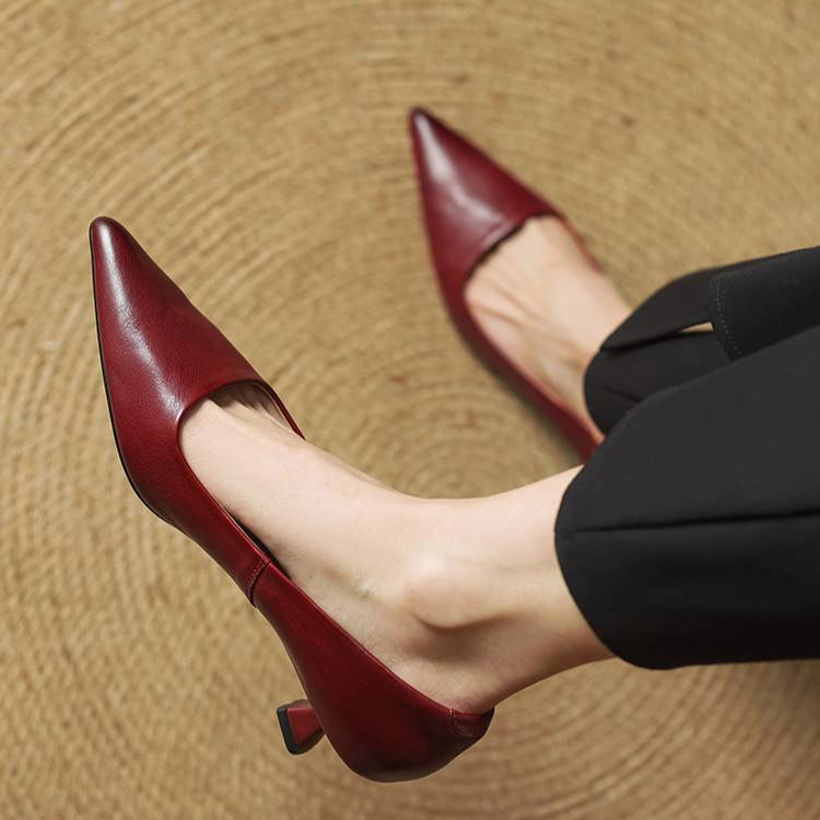 Pointed Toe Heels with Low Block Heel for Women